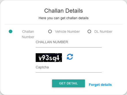 e-challan details